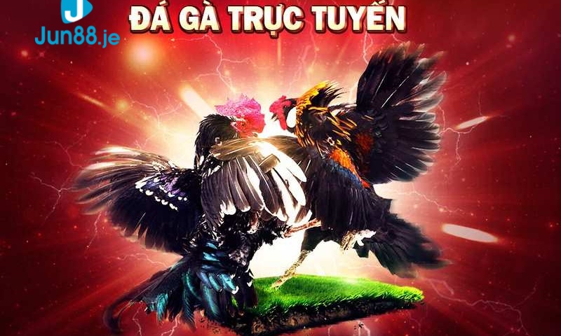 Màu sắc của bộ lông và những bộ phận khác